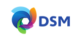 DSM logo